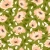 807_Olive Peonies.webp