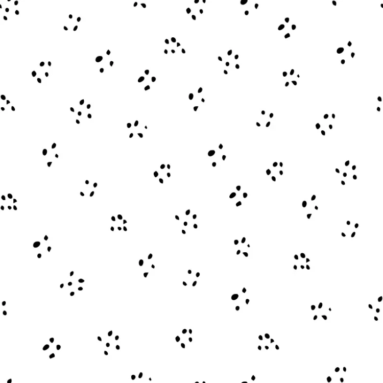 898_Seed Clusters.webp