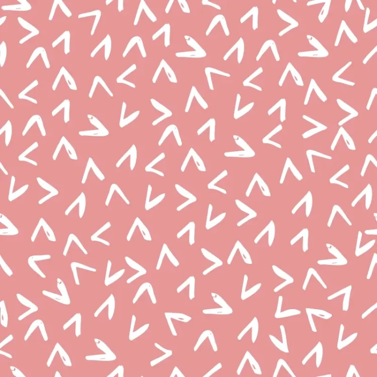 934_Coral Arrows.webp