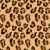1025_Leopard Spots.webp