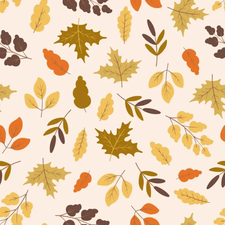 1071_Autumn Drift.webp
