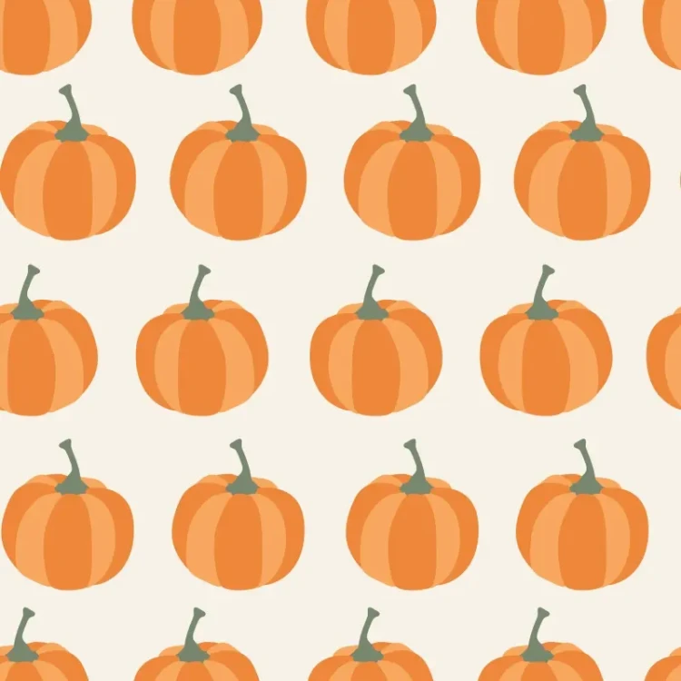 1091_Orange Patch.webp