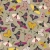 1203_Olive Moth.webp