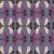 1207_Dusky Wings.webp