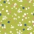 1221_Olive Daisies.webp
