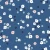 1223_Denim Daisies.webp