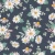 786_Moon Daisy.webp